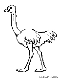 Ostrich Coloring Page 