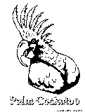 Palm Cockatoo Coloring Page 