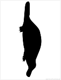 platypus silhouette