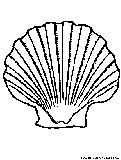 Scallop Shell Coloring Page 