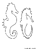 Seahorses Coloring Page1 