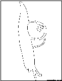 snail outline