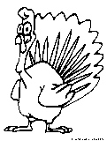 thanksgiving turkey2