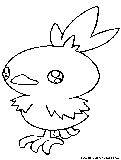 torchic