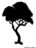 tree silhouette