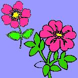 valentine-flowers-card3.jpg