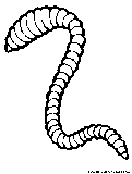 Worm Coloring Page 