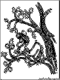 zacchaeus tree