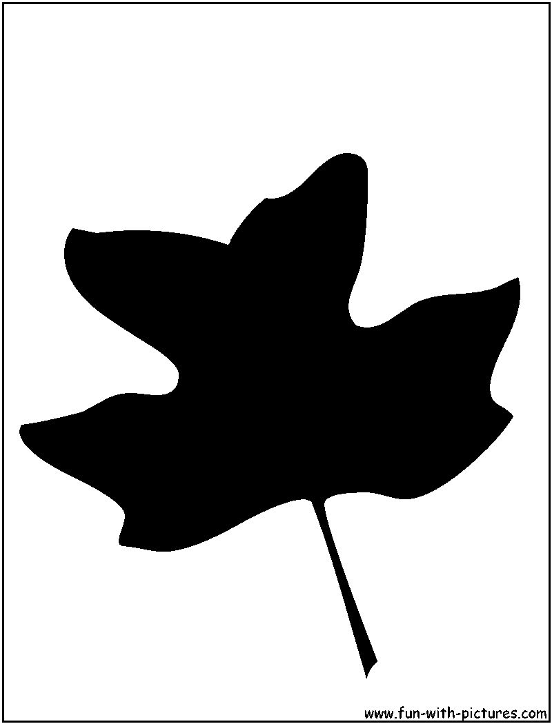 Tulip Tree Leaf Silhouette