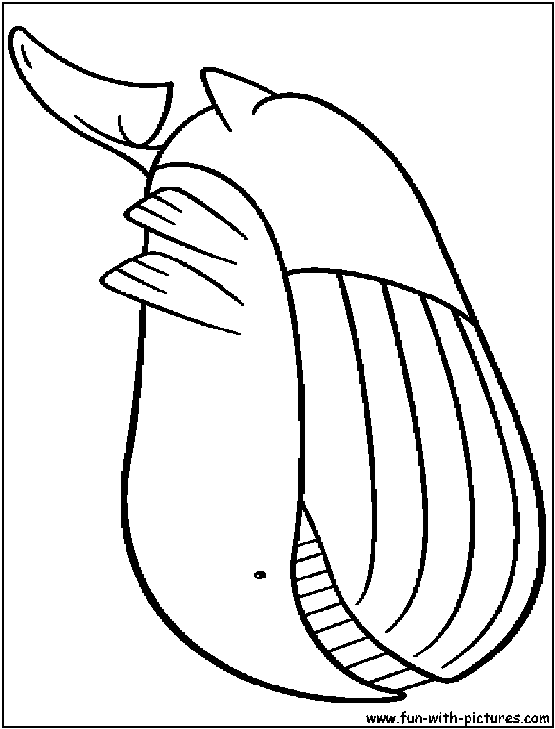 Wailord Coloring Page 