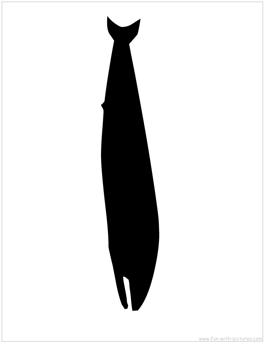 Whale Silhouette