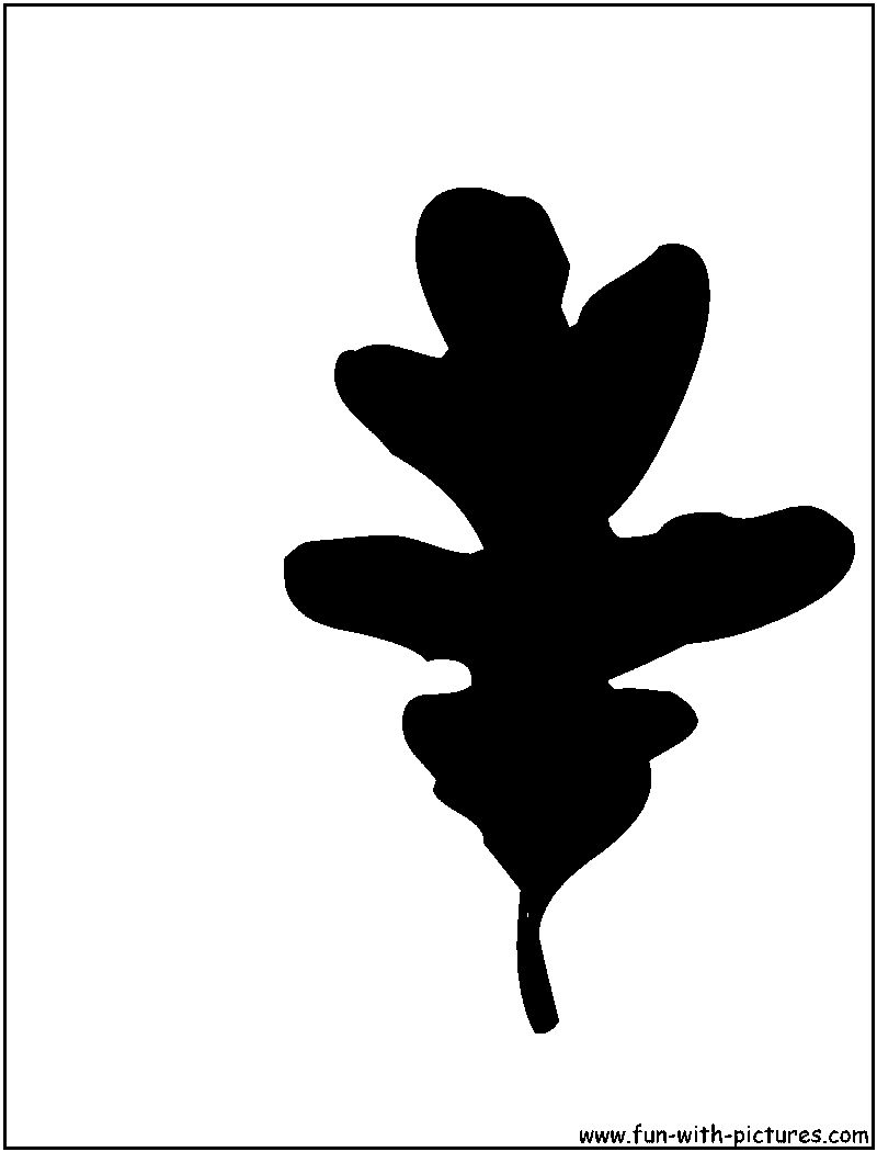 White Oak Leaf Silhouette