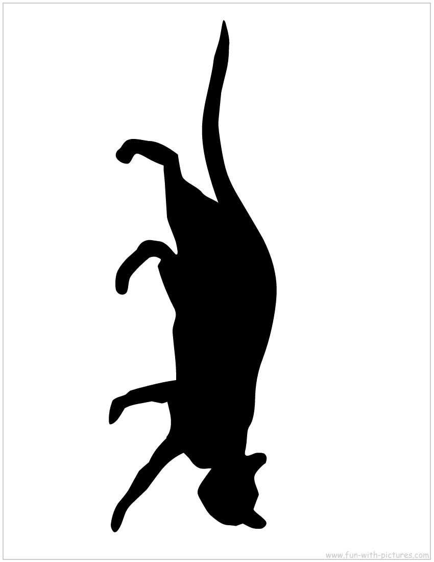 Wildcat Silhouette